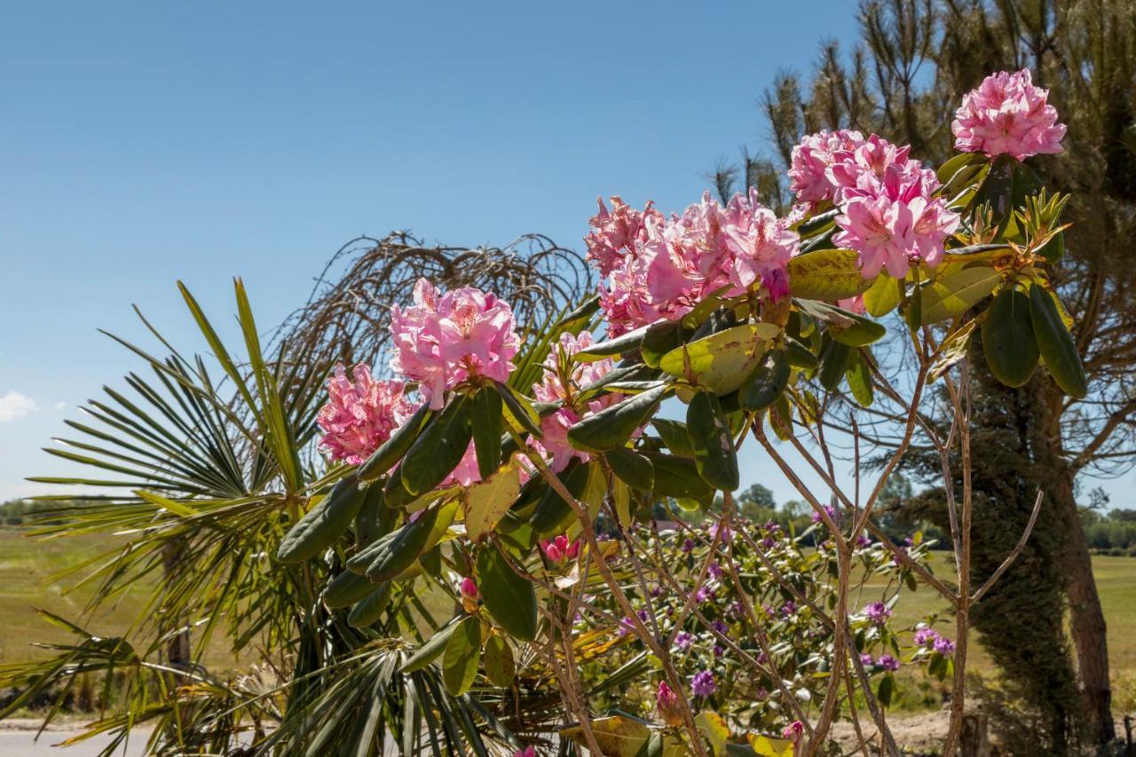 Welcome In - Vakantiepark Fort Den Haak Vrouwenpolder Exterior photo